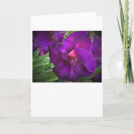 カード・グラジオリ カード