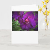 カード・グラジオリ カード (黄色い花)