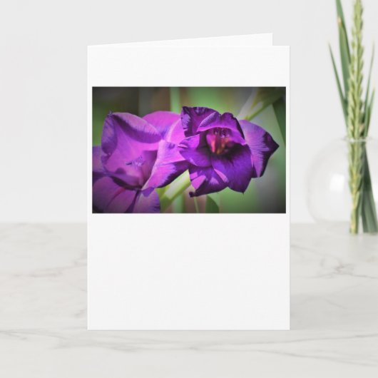 カード・グラジオリ カード (正面)