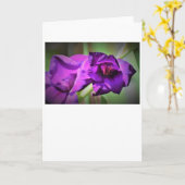 カード・グラジオリ カード (黄色い花)