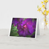 カード・グラジオリ カード (黄色い花)