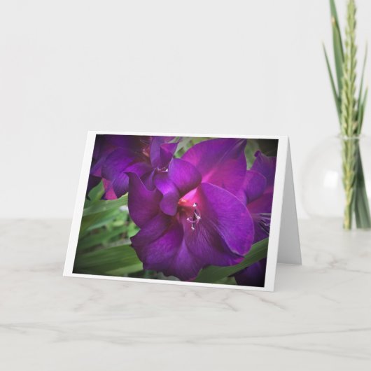 カード・グラジオリ カード (正面)