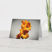 カード・グラジオリ カード (正面)