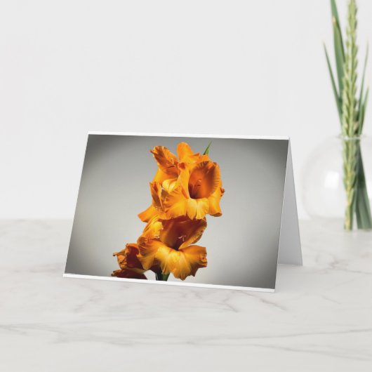 カード・グラジオリ カード (正面)