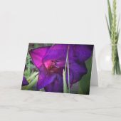 カード・グラジオリ カード (正面)