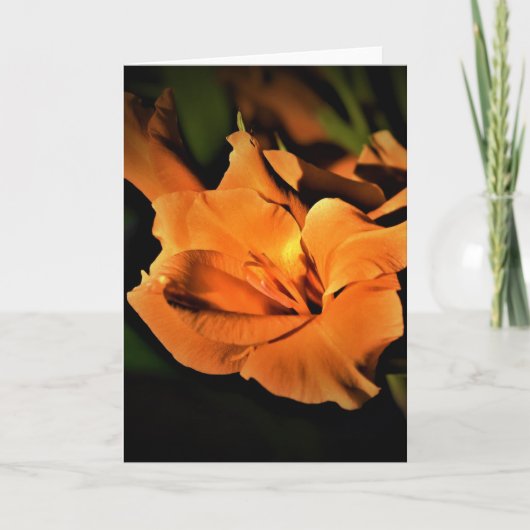 カード・グラジオリ カード (正面)