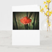 カード・グラジオリ カード (黄色い花)