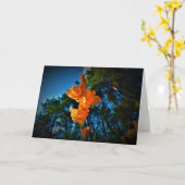 カード・グラジオリ カード (黄色い花)