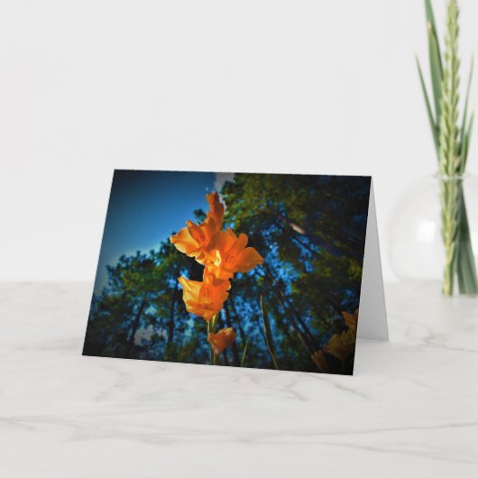 カード・グラジオリ カード (正面)