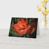 カード・グラジオリ カード (黄色い花)