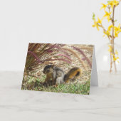 カード – グリーティング – 日陰のリス (黄色い花)