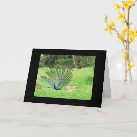 カード – グリーティング – Peacock 2辺 (黄色い花)