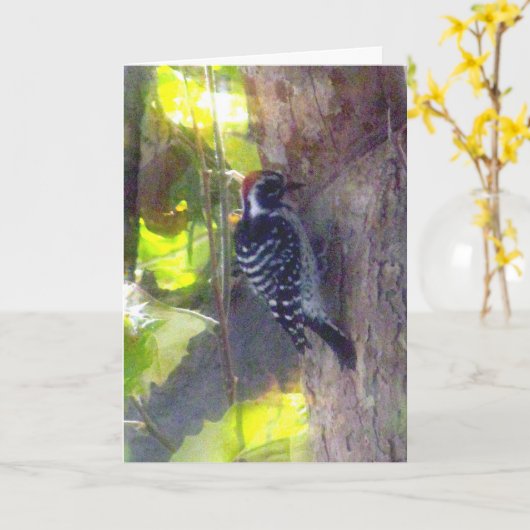 カード – グリーティング – Woodpecker (黄色い花)