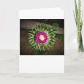 カード・シスル カード (正面)