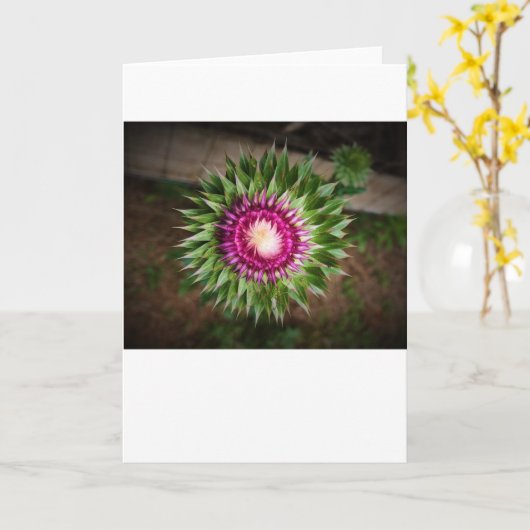 カード・シスル カード (黄色い花)