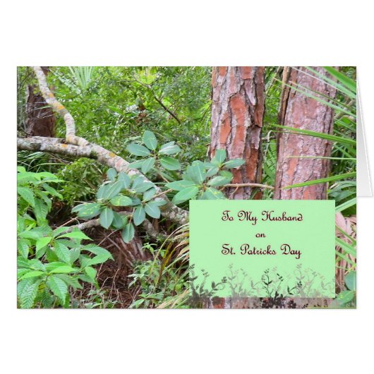 カード・セント・パトリックの夫の日 (正面横)