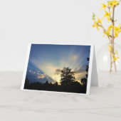 カード・ダスク カード (黄色い花)