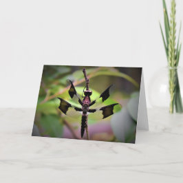 カード・ドラゴンフライ カード