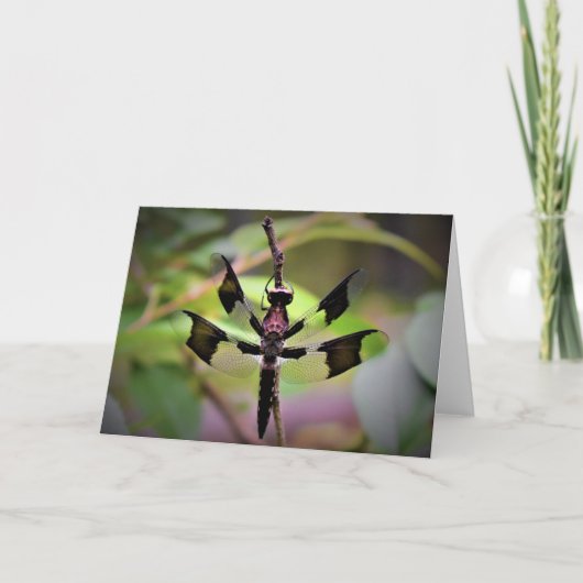 カード・ドラゴンフライ カード (正面)