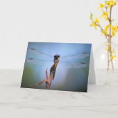 カード・ドラゴンフライ カード (黄色い花)