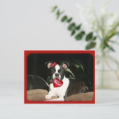 カード: バレンタインのブーイング シーズンポストカード (スタンド正面)