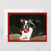 カード: バレンタインのブーイング シーズンポストカード (正面/裏面)