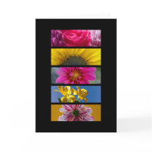 カード – ピンクと黄色のマクロの花