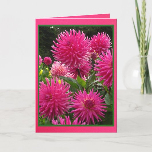 カード-フェリズクンプレニャノスaミティア-ラスダリアス カード (正面)