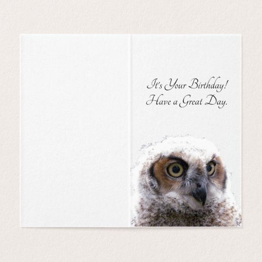 カード – フクロウ誕生日 (内部フラット)