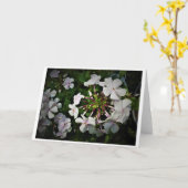 カード・フロックス カード (黄色い花)