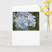 カード・フロックス カード (黄色い花)