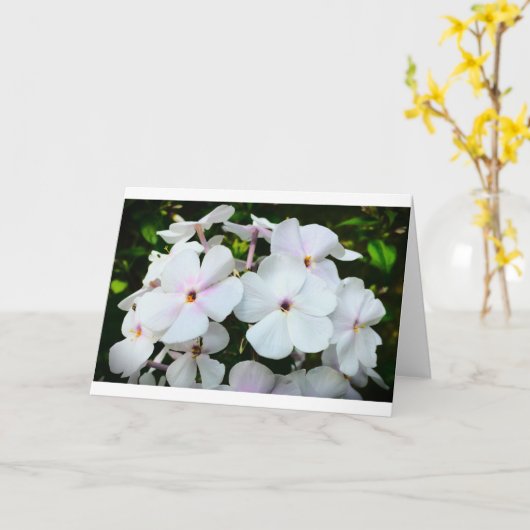 カード・フロックス カード (黄色い花)