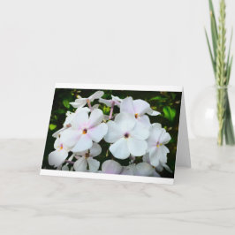 カード・フロックス カード