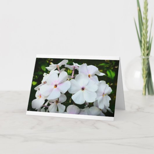 カード・フロックス カード (正面)