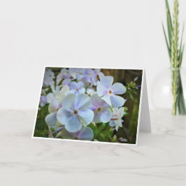 カード・フロックス カード