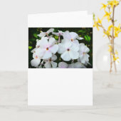 カード・フロックス カード (黄色い花)