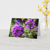 カード・ベルベナ カード (黄色い花)