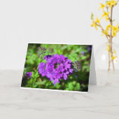 カード・ベルベナ カード (黄色い花)