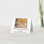 カード |ポメラニア犬誕生日カード (裏面)