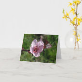 カード – メモ – ピンク開花 (黄色い花)