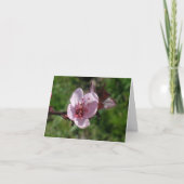 カード – メモ – ピンク開花 (正面)