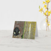 カード – メモ – 黒猫の覗き (黄色い花)