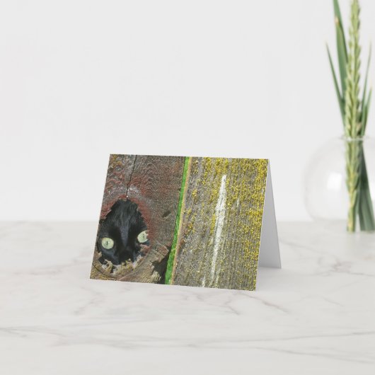 カード – メモ – 黒猫の覗き (正面)