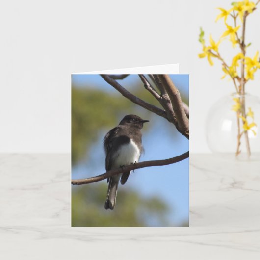 カード – メモ – Flycatcher (黄色い花)