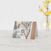 カード – メモ – Forlorn Kitten (黄色い花)