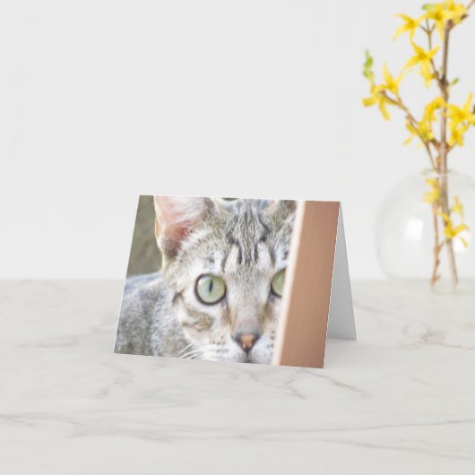 カード – メモ – Forlorn Kitten (黄色い花)