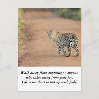 カード:ライフが短すぎる ポストカード