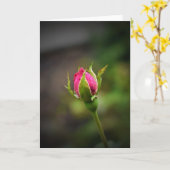 カード·ローズバド カード (黄色い花)