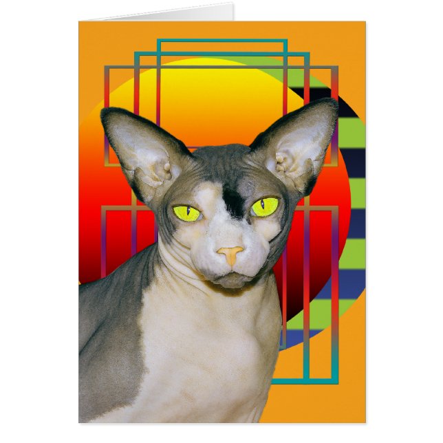 カード｜ヴァンプ・スフィンクス猫（オレンジ） (正面)