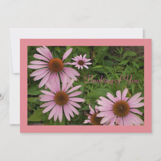 カード-勇気付けられる カード (正面)